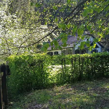 Szalajka Haz * Varaszo