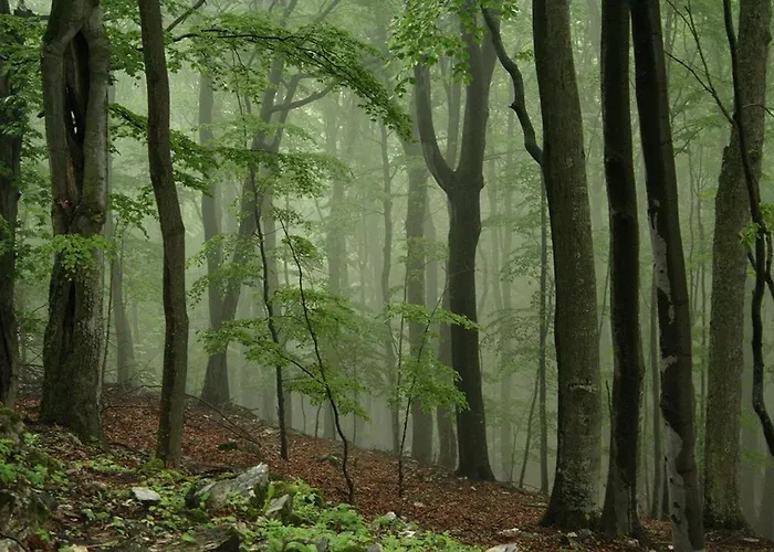Prázdninový dům Szalajka Haz Varaszo