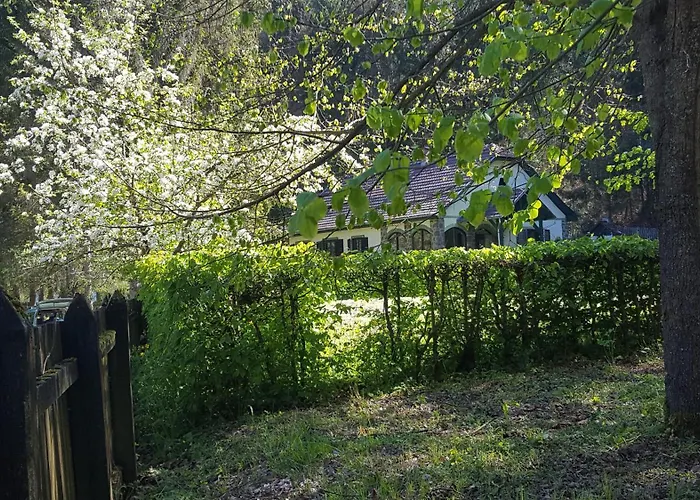 Szalajka Haz * Varaszo